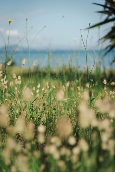 Domus Del Mare Сasa de vacaciones