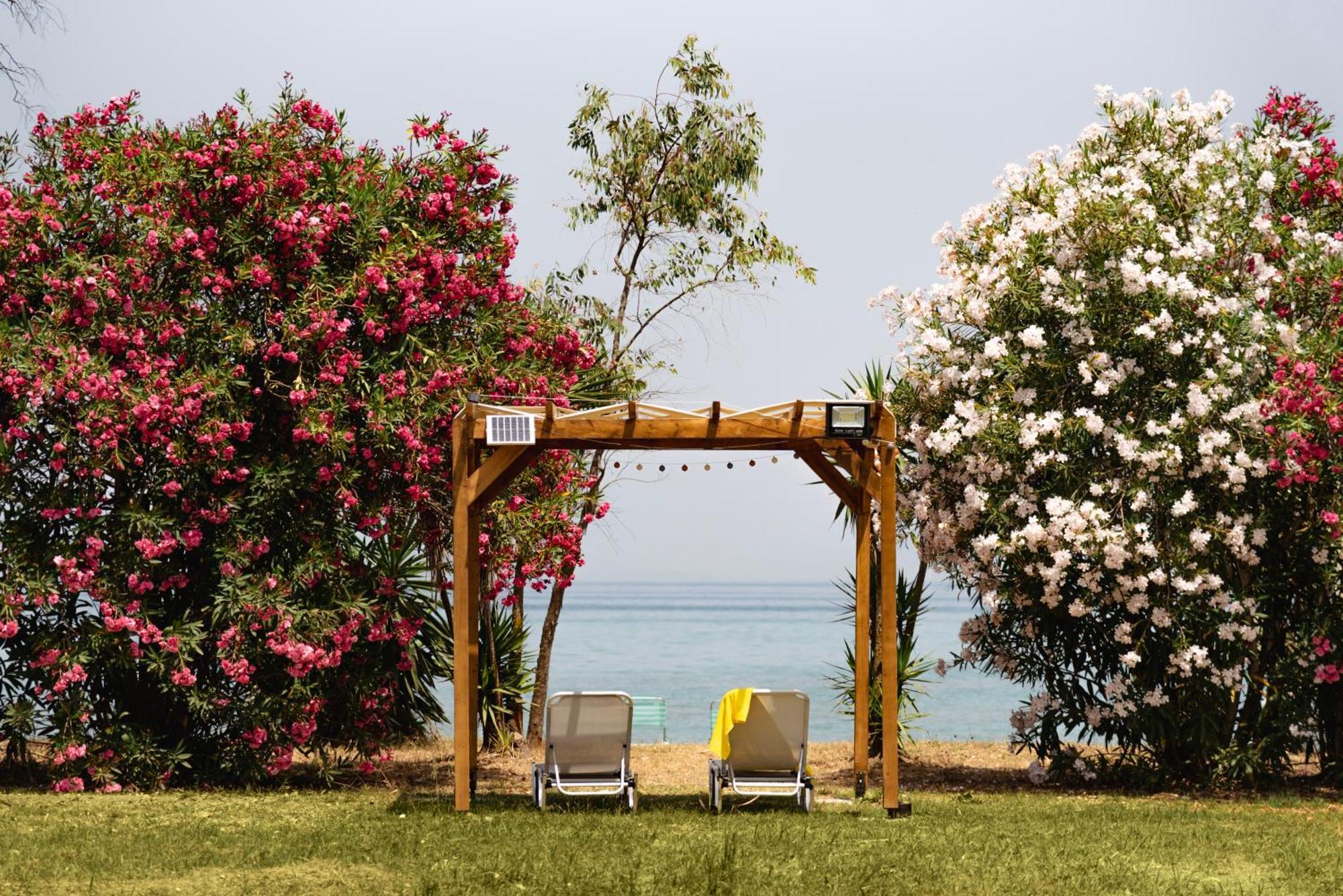 Domus Del Mare Сasa de vacaciones *